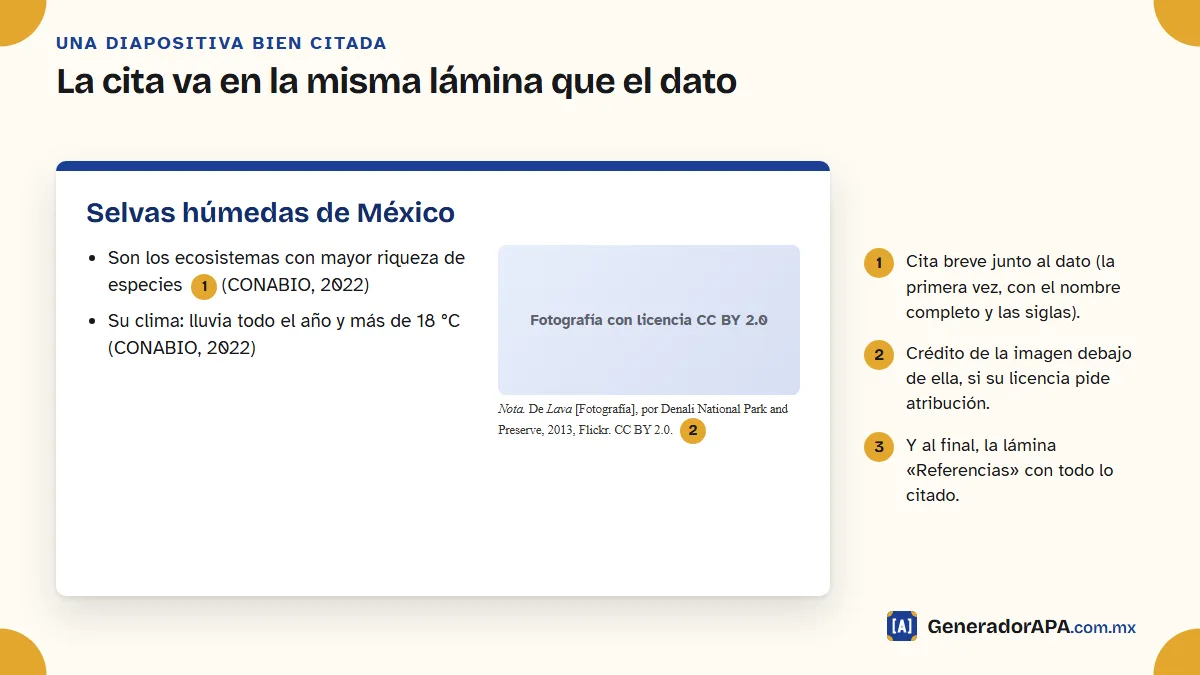 Diapositiva de ejemplo con citas APA junto a cada dato y el crédito de una fotografía debajo de la imagen